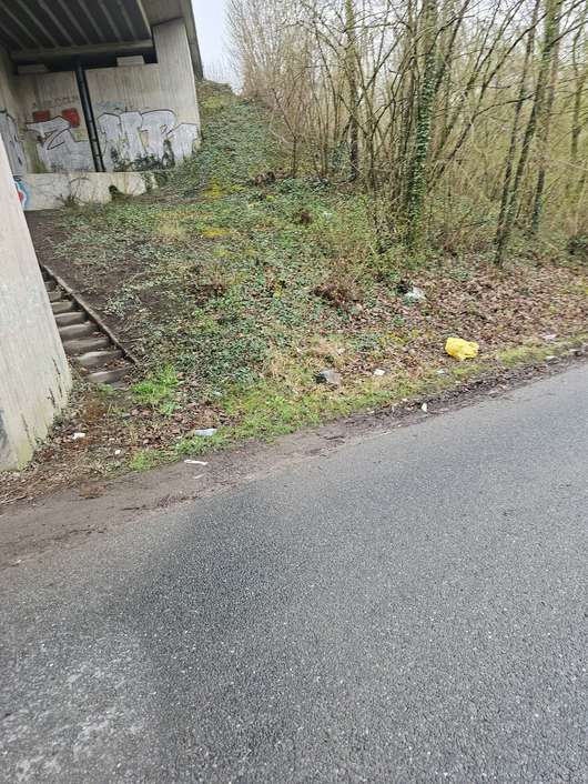 Noch mehr Müll.